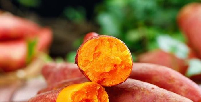 Người phụ nữ 64 tuổi kiên trì ăn 1 củ khoai lang luộc mỗi sáng trong suốt một năm khi đi khám bất ngờ với kết quả. Ảnh minh họa.