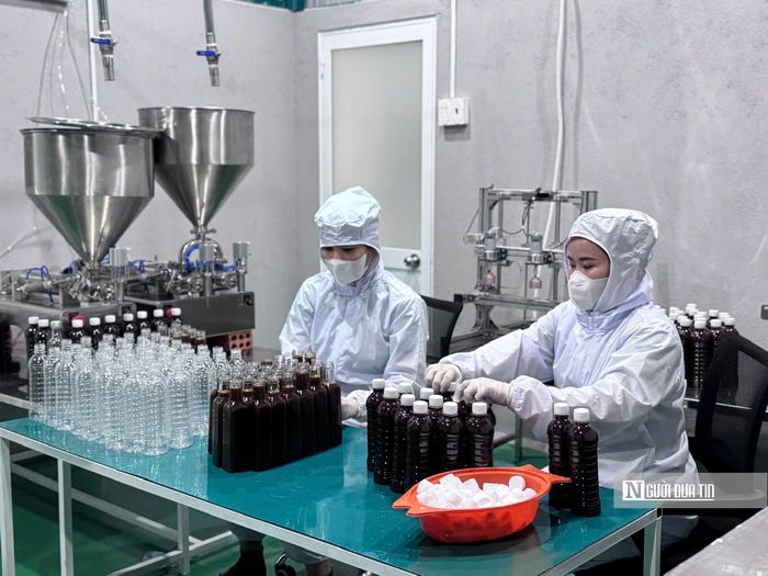 80% sản lượng tiêu thụ trong nước, 20% được xuất khẩu chính ngạch sang Đài Loan, New Zealand, Australia và Philippines.