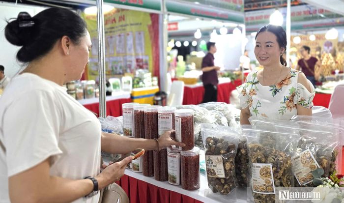Hợp tác xã nông nghiệp Mai An Tiêm mang sản phẩm địa phương đến hội chợ để tìm thêm đầu ra.