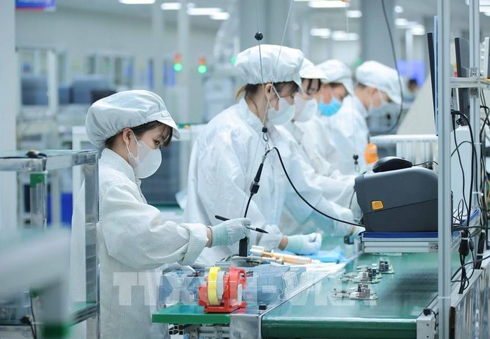 Công ty TNHH Bumjim Electronics Vina (100% vốn Hàn Quốc) tạo việc làm và thu nhập ổn định cho 870 người lao động. Ảnh: Hoàng Hiếu - TTXVN