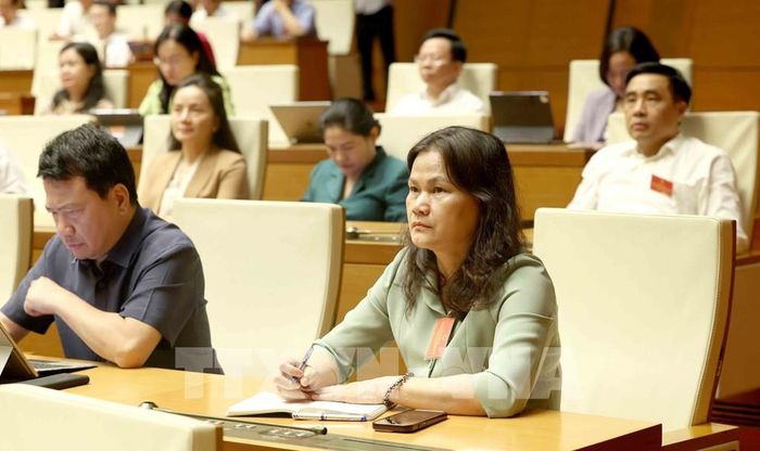 Đại biểu tham dự hội nghị. Ảnh: Phương Hoa - TTXVN