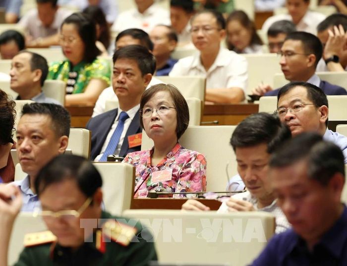 Đại biểu tham dự hội nghị. Ảnh: Phương Hoa - TTXVN