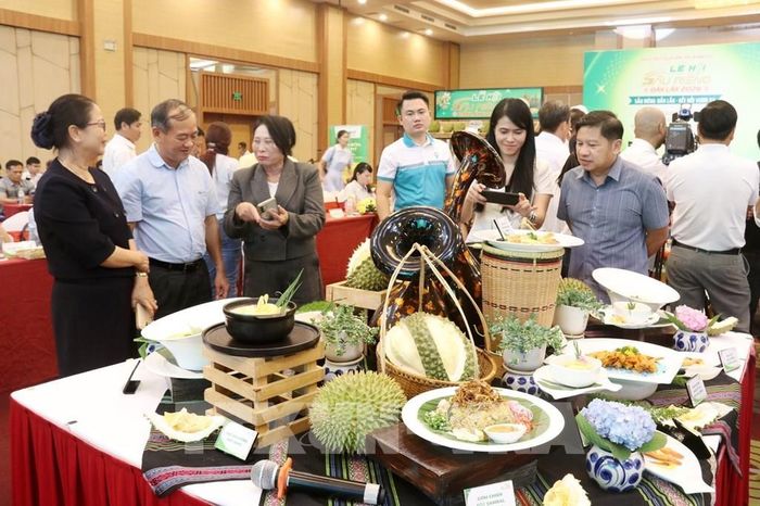 Trưng bày, giới thiệu các món ăn sáng tạo kết hợp giữa sầu riêng Đắk Lắk với phong cách ẩm thực của ba nước Việt Nam, Thái Lan và Malaysia tại chương trình. Ảnh: Hoài Thu – TTXVN