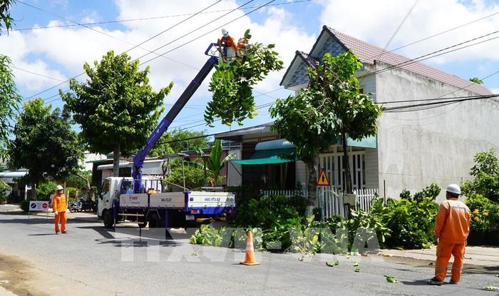Nhân viên Điện lực Đồng Tháp cắt tỉa cây xanh, bảo vệ hành lang an toàn lưới điện trong mùa mưa bão. Ảnh: Nhựt An - TTXVN