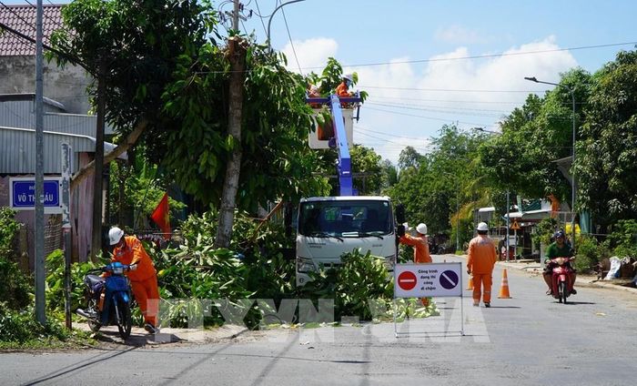 Công nhân Điện lực Đồng Tháp cắt tỉa cây xanh, bảo vệ hành lang an toàn lưới điện trong mùa mưa bão. Ảnh: Nhựt An - TTXVN