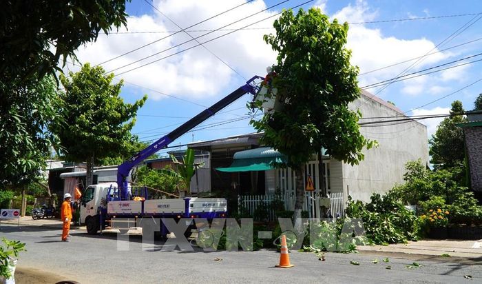 Nhân viên Điện lực Thường Thới Tiền (Đồng Tháp) cắt tỉa cây xanh, bảo vệ hành lang an toàn lưới điện trong mùa mưa bão. Ảnh: Nhựt An - TTXVN