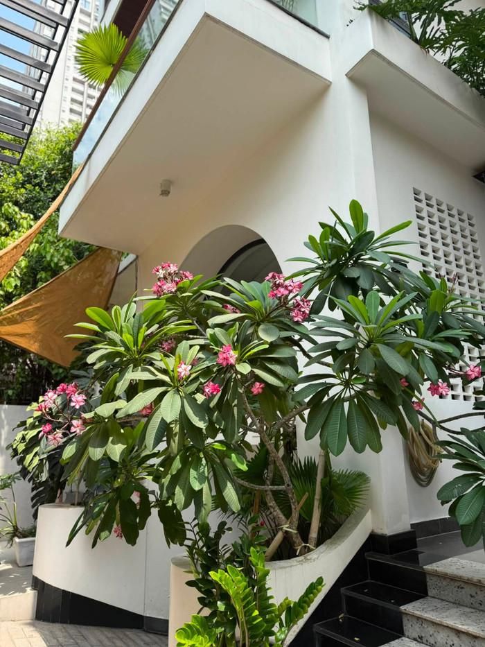 Biệt thự phố 1.000m2 được Vân Trang chăm sóc kỹ lưỡng, trồng nhiều cây xanh. 