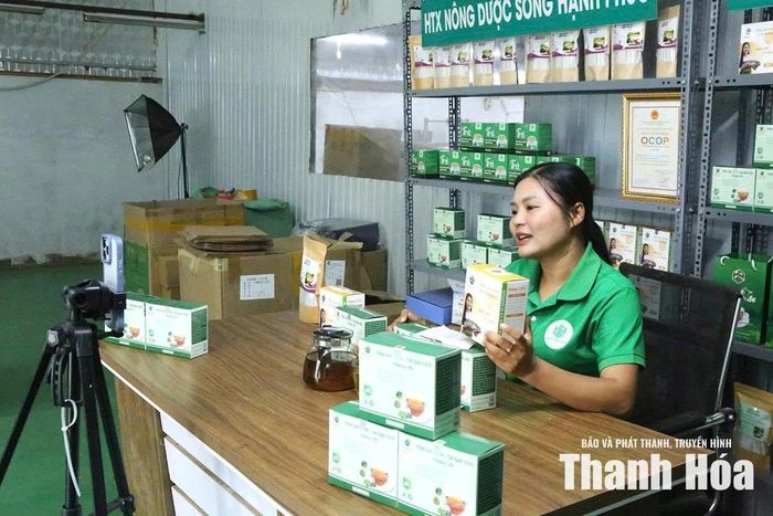 Nhân viên HTX nông dược Sống Hạnh Phúc, xã Cẩm Thạch thực hiện livestream bán sản phẩm.