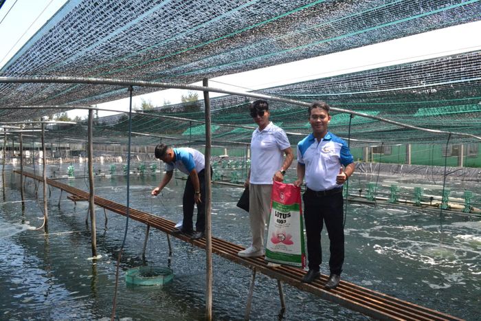 Người nuôi tôm trên địa bàn thành phố đang thích ứng với giá thức ăn nuôi tôm tăng cao. Ảnh: QUANG VIỆT