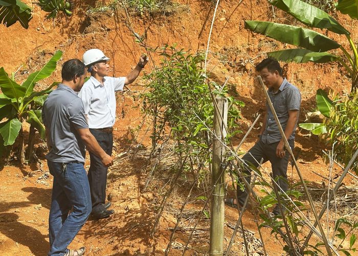 Xã Đông Giang hướng đến thu hút đầu tư vào lĩnh vực dược liệu. Ảnh: PHAN VINH