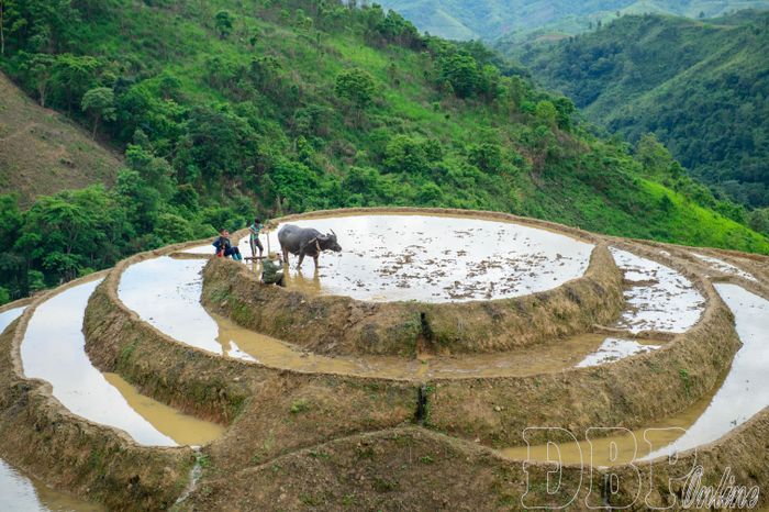 Phút nghỉ ngơi sau những giờ lao động miệt mài.
