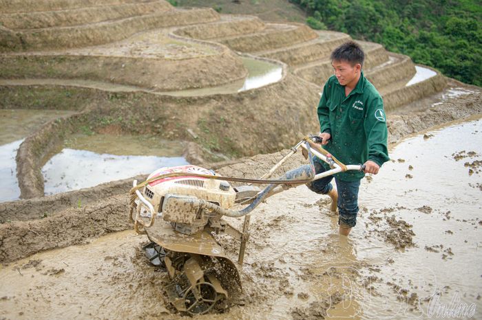 Máy làm đất giúp người dân nâng cao hiệu quả sản xuất trên những thửa ruộng bậc thang.