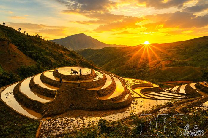 Mùa nước đổ tạo nên bức tranh thiên nhiên đặc sắc, hòa quyện cùng nhịp sống lao động của người dân vùng cao Pu Nhi.