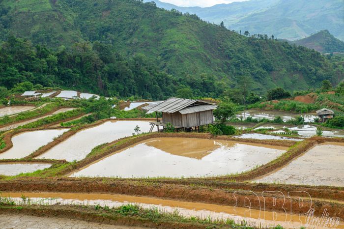 Từng thửa ruộng được dẫn nước, tạo tiền đề cho một vụ sản xuất mới.