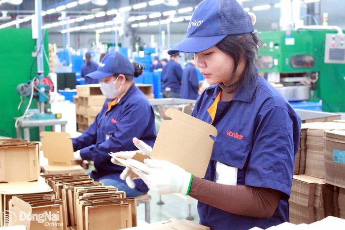 Người lao động đều kỳ vọng tăng lương tối thiểu vùng vào năm 2027. Trong ảnh: Công nhân sản xuất tại một doanh nghiệp ở Đồng Nai. Ảnh: Nguyễn Hòa