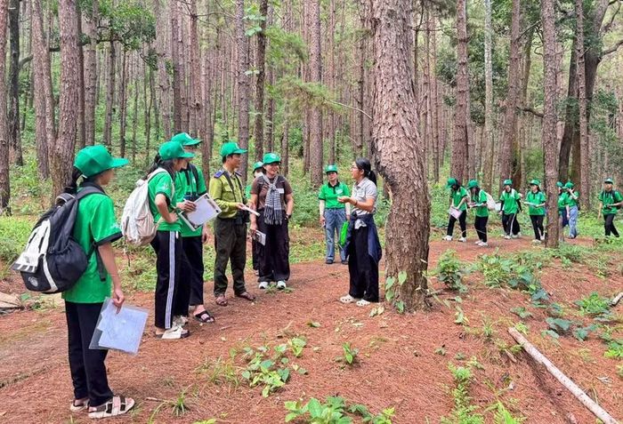 Học sinh Trường THPT Trần Hưng Đạo tìm hiểu đặc điểm các loài thực vật trong Vườn quốc gia Kon Ka Kinh. Ảnh: M.C