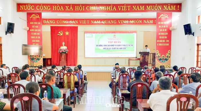 Một lớp tập huấn được tổ chức tại xã Ninh Sơn.