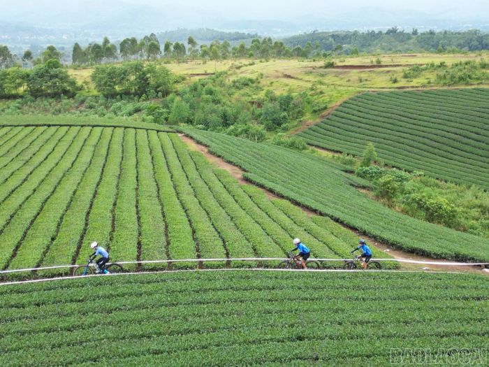 Cung đường thi đấu ở nội dung địa hình.