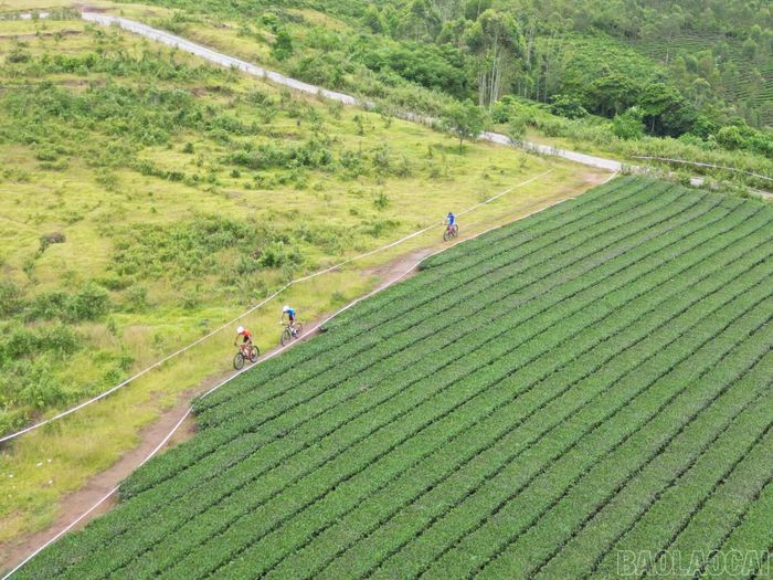 Các vận động tham gia tranh tài giữa khung cảnh thiên nhiên tươi đẹp.