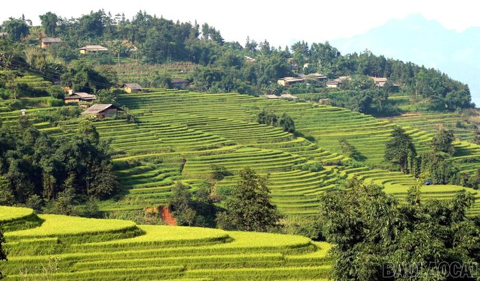 Sín Chéng thanh bình.