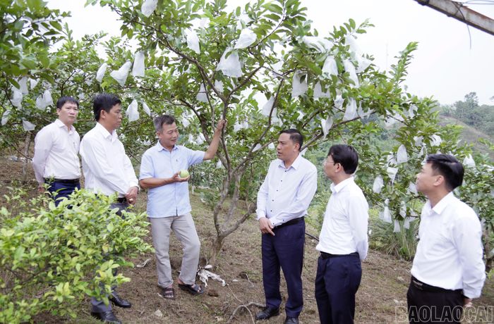 Các đồng chí lãnh đạo tỉnh dành nhiều thời gian kiểm tra và nắm bắt tình hình ở cơ sở. Trong ảnh: Đồng chí Hoàng Giang - Phó Bí thư Thường trực Tỉnh ủy, Chủ tịch HĐND tỉnh (thứ 3 từ phải sang) kiểm tra mô hình phát triển kinh tế tại phường Văn Phú.