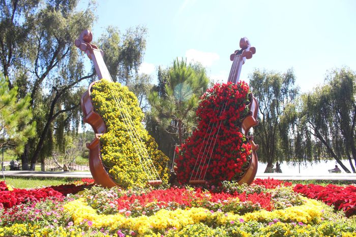 Festival Hoa Đà Lạt là điểm hẹn hấp dẫn người yêu hoa