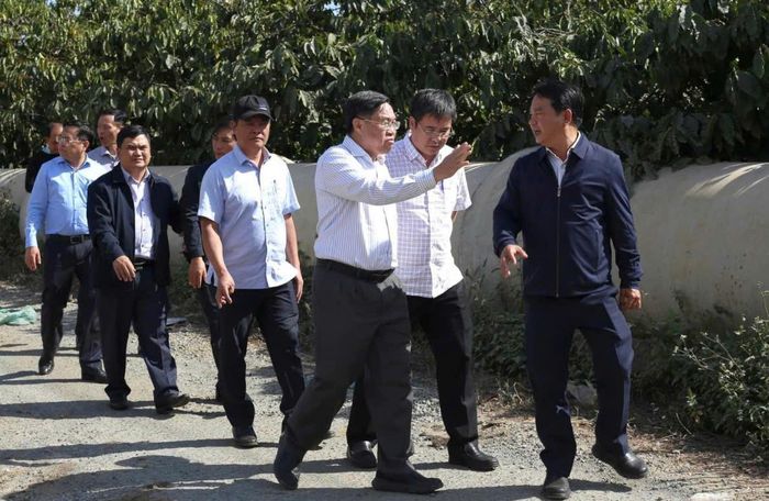 Phó Chủ tịch UBND tỉnh Võ Ngọc Hiệp kiểm tra tiến độ dự án khu vực Lâm Đồng ngàn hoa