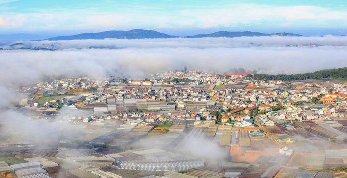 Làng hoa Thái Phiên, phường Lâm Viên - Đà Lạt với thế mạnh nông nghiệp rau, hoa nổi tiếng