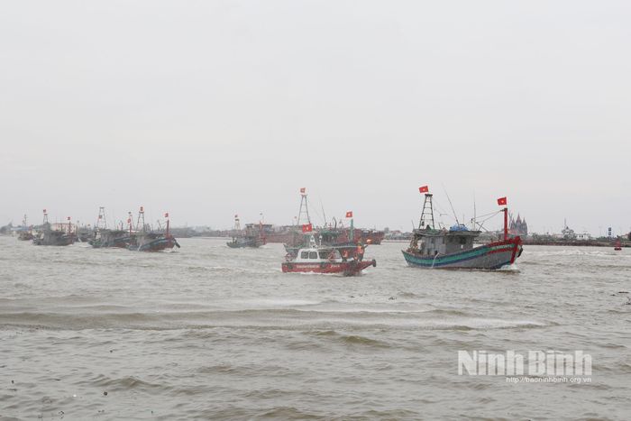Tình huống diễn tập đưa tàu, thuyền về nơi tránh, trú bão an toàn.