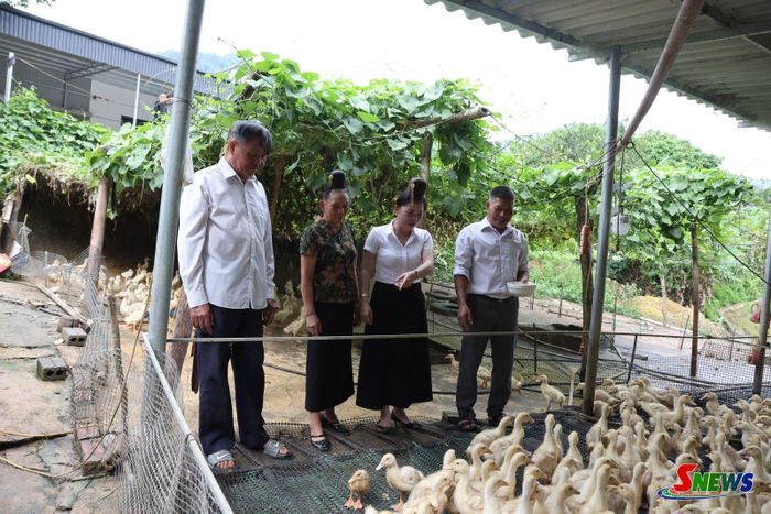 Mô hình chăn nuôi gia cầm tại bản Vựt Bon, xã Chiềng Mai.