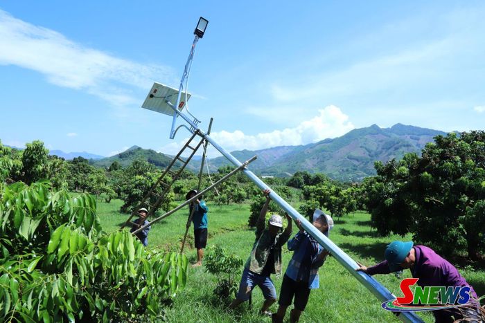 Bản Quyết Thắng, xã Chiềng Khương huy động nhân công lắp đặt hệ thống điện năng lượng mặt trời chiếu sáng đường nội bản.