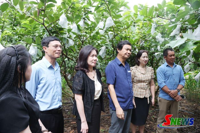 Các đại biểu tham quan mô hình cây ăn quả tại bản Lạnh, xã Thuận Châu.