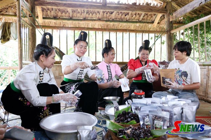 Cán bộ Dự án “Giảm nhẹ và thích ứng với biến đổi khí hậu trong lĩnh vực nông lâm nghiệp vùng núi Tây Bắc” - giai đoạn 2 (bên phải) hướng dẫn người dân xã Muổi Nọi đóng gói sản phẩm Ô mai mận