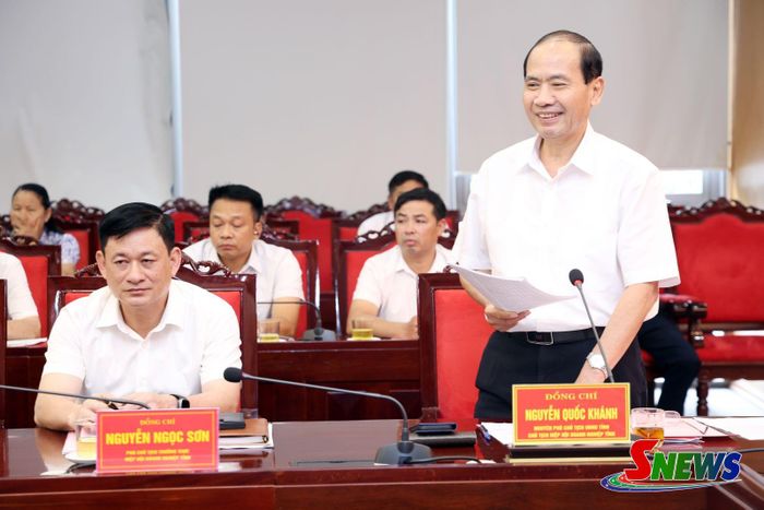 Đồng chí Chủ tịch Hiệp hội Doanh nghiệp tỉnh phát biểu tại hội nghị.