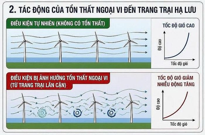 Tác động tổn thất ngoại biên