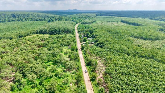 Khi đưa vào khai thác, tuyến kết nối cầu Mã Đà - Vành đai 4 TP.HCM không chỉ bổ sung thêm một trục giao thông chiến lược cho vùng Đông Nam Bộ mà còn trở thành minh chứng cho hướng phát triển hạ tầng hiện đại, trong đó mục tiêu thúc đẩy tăng trưởng kinh tế được đặt song hành với nhiệm vụ bảo tồn thiên nhiên và phát triển bền vững.
