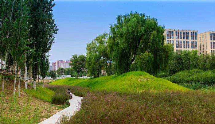 Dự án thành phố bọt biển tại Công viên sông Vĩnh Định sau khi được thiết kế lại. Ảnh do ông Du Khổng Kiên/Turenscape cung cấp.