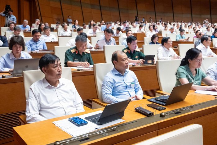 Các đại biểu tham dự Hội nghị
