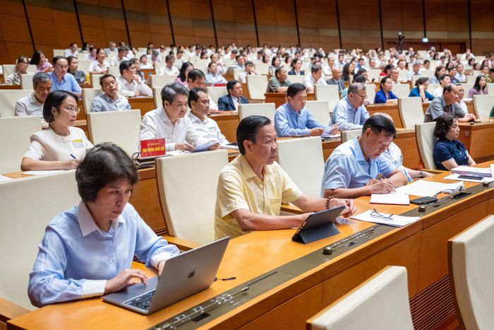 Các đại biểu tham dự hội nghị