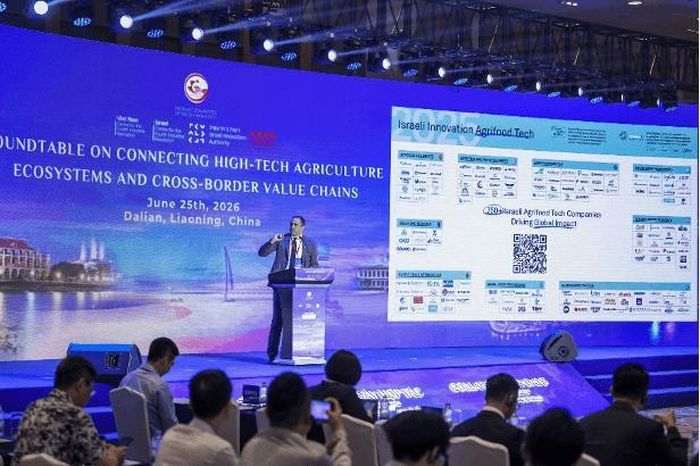 Chuyên gia quốc tế chia sẻ tại Hội nghị.