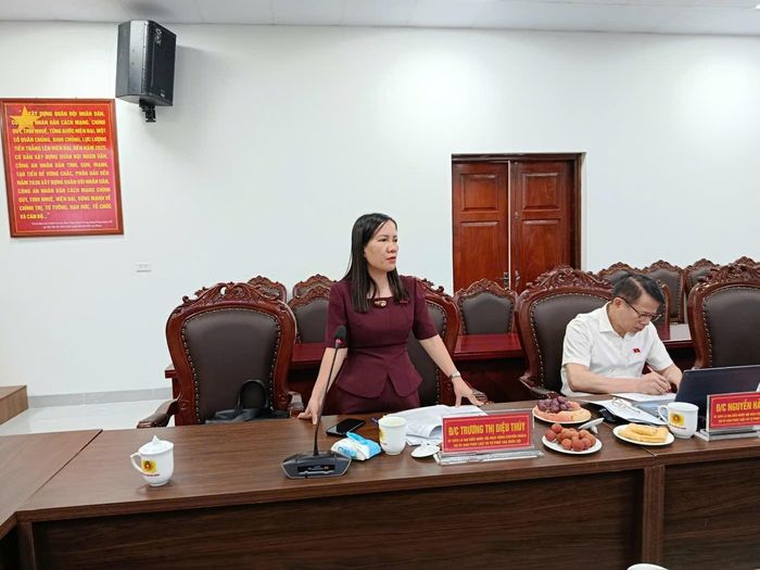 Đại biểu Quốc hội hoạt động chuyên trách tại Ủy ban Pháp luật và Tư pháp Trương Thị Diệu Thúy phát biểu tại buổi làm việc. Ảnh: Thảo Lê