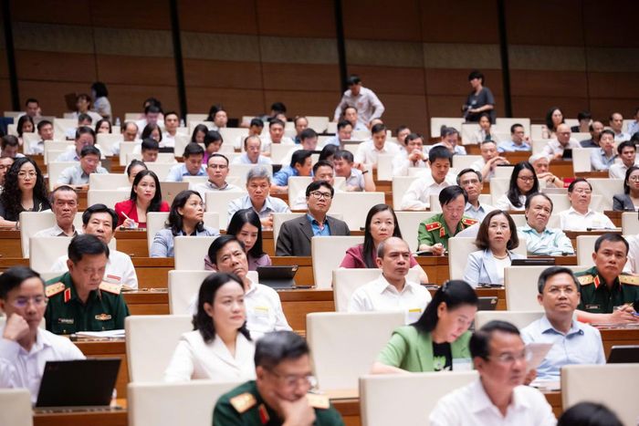 Các đại biểu dự hội nghị.