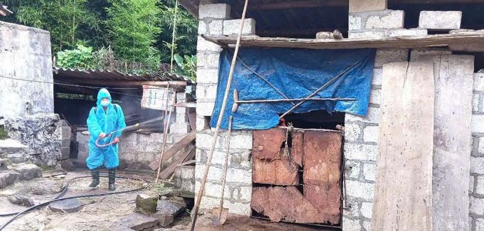 Cán bộ thú y phun thuốc khử trùng, tiêu độc chuồng trại nhằm ngăn ngừa dịch bệnh lở mồm long móng lây lan.