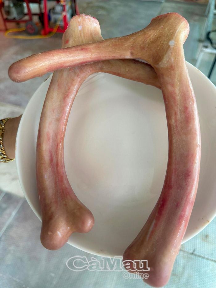 Trong Ðông y, nhung hươu được xem là dược liệu có giá trị hỗ trợ sức khoẻ.