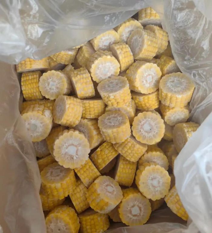 Bắp sau khi rã đông vẫn có thể hấp luộc và thưởng thức.