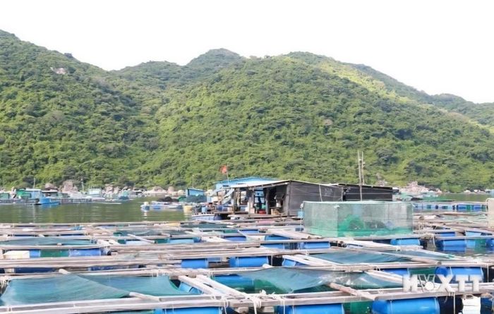 Các lồng bè nuôi thủy sản trên biển tại xã Xuân Cảnh của tỉnh Đắk Lắk. (Ảnh minh họa)