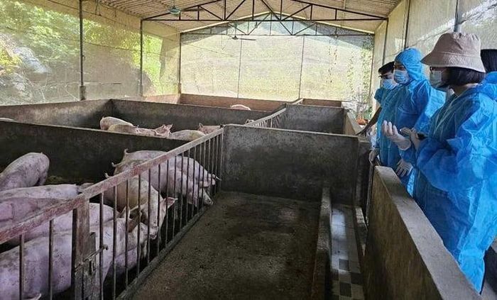 Hệ thống xử lý chất thải trong trang trại chăn nuôi là một trong những nội dung được các cơ quan chức năng tăng cường kiểm tra, giám sát - (Ảnh minh họa)