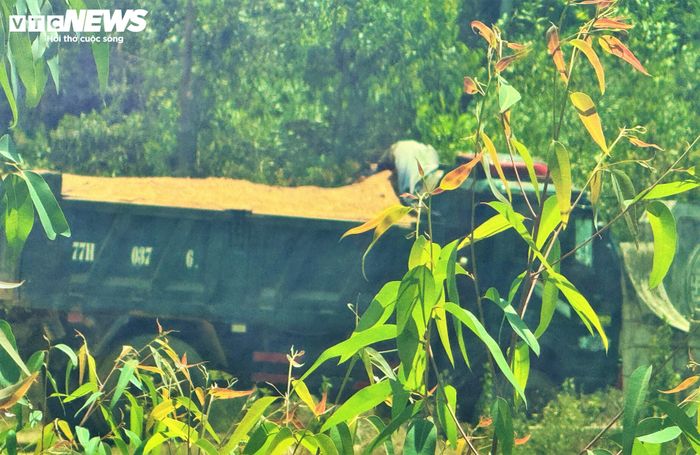 Xe tải BKS 77H 037.66 trong quá trình vận chuyển đất trái phép được phóng viên ghi nhận.