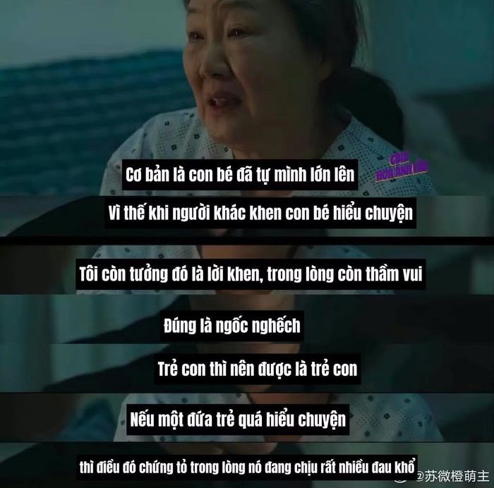 Câu thoại đang gây xôn xao MXH Trung Quốc. Nguồn ảnh: Cbiz Hoa Ảnh Lâu