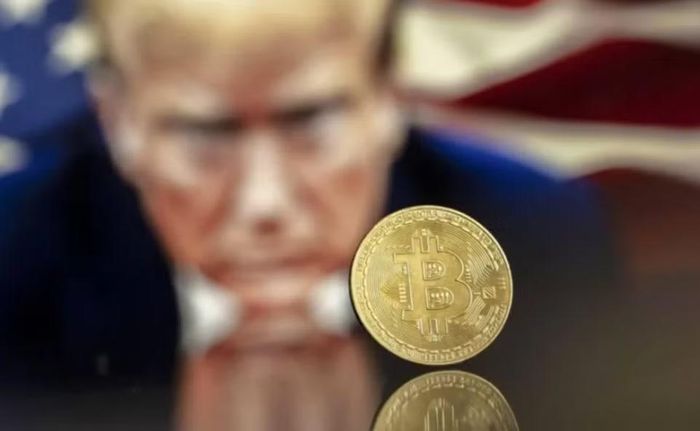 Đây là loại token cho phép người nắm giữ tham gia bỏ phiếu đối với một số quyết định của dự án.